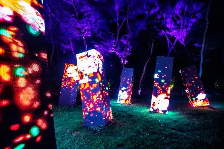 如果你来参加“九·八”，就不能只参加“九·八”……