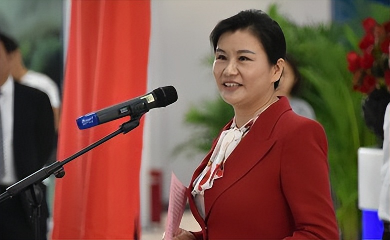 湖南十大青年企业家排名,常德市十大杰出企业家名单