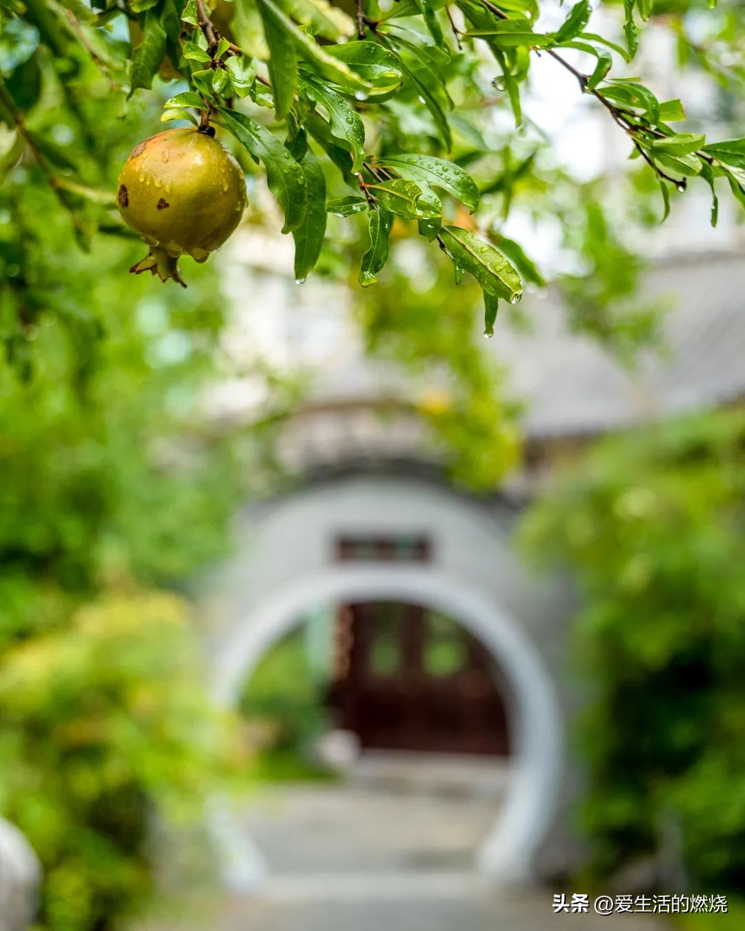 扬州香格里拉三把刀,香格里拉三把刀