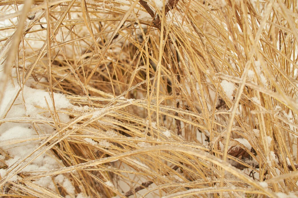 农村被骗的几个方式,农民被骗的十大套路