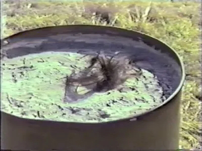 如果人被埋在土里如何自救,如果你被埋在地下怎么办