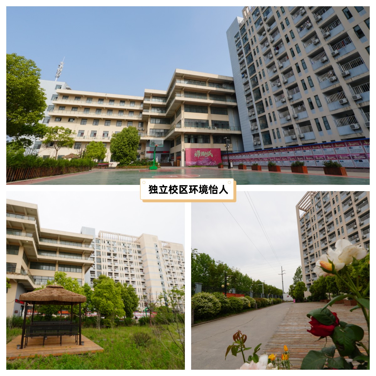 21考研让你读懂公共管理硕士mpa,2021年公共管理专业硕士考研学校