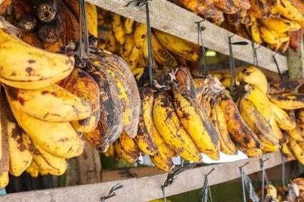 买香蕉的时候怎么选香蕉,如何在水果市场挑选自然熟的香蕉