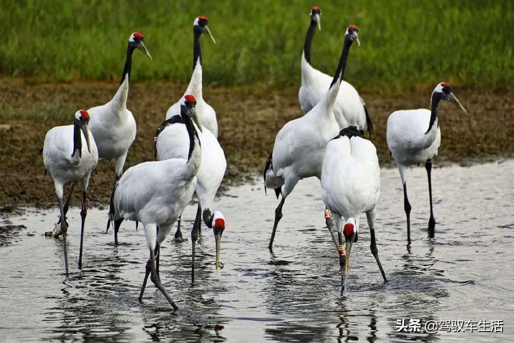 挑战极寒自驾游大兴安岭,大兴安岭金秋穿越之旅