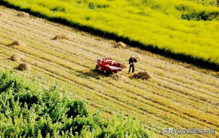 走进大美甘肃我的家，影像记录甘南藏族自治州，卓尼县民族文化。