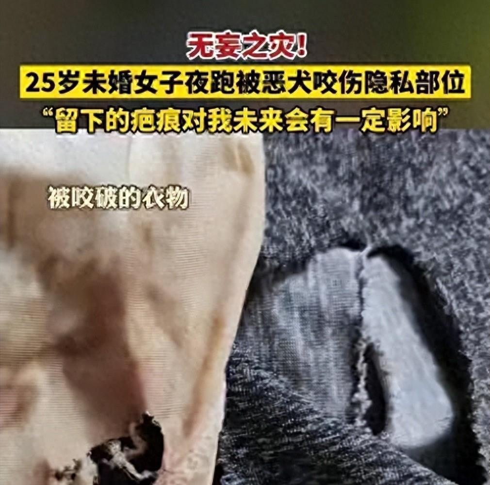 太惨了，湖北女幼师被咬隐私部位，狗主人拒赔，女子：我怎么嫁人