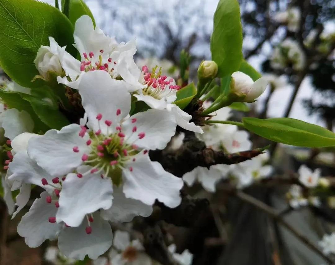 母亲是文盲沟通很困难,妈妈是文盲想认字