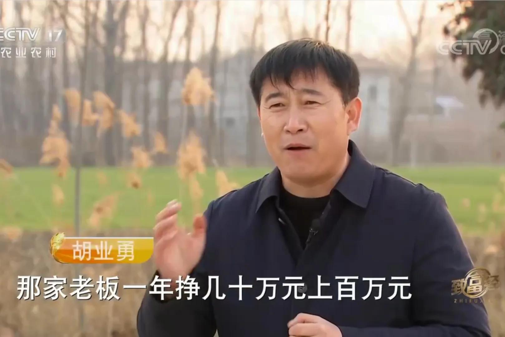 河南养100只羊一年能挣多少钱,河南养20只羊一年收入多少