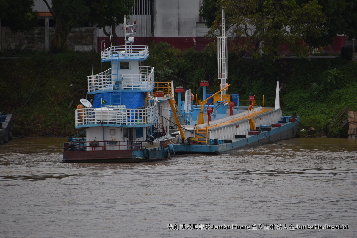 第5047回：消失的亚马逊文明，流失的林下聚居地