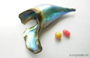 烧烤鲍鱼成品,鲍鱼里面也有珍珠