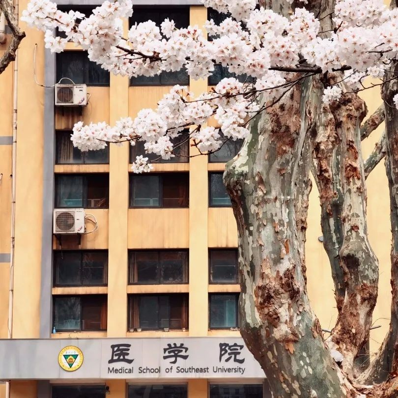 中国最牛大学东南大学,全球顶尖前10万名科学家江苏大学