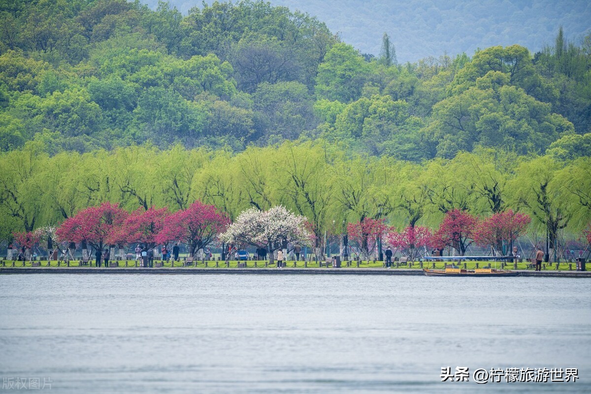 杭州郊外踏春,踏春杭州