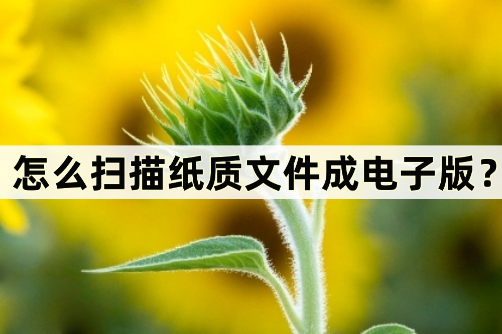 红米k40纸质文件扫描成电子版软件,怎么扫描纸质文件成电子版免费