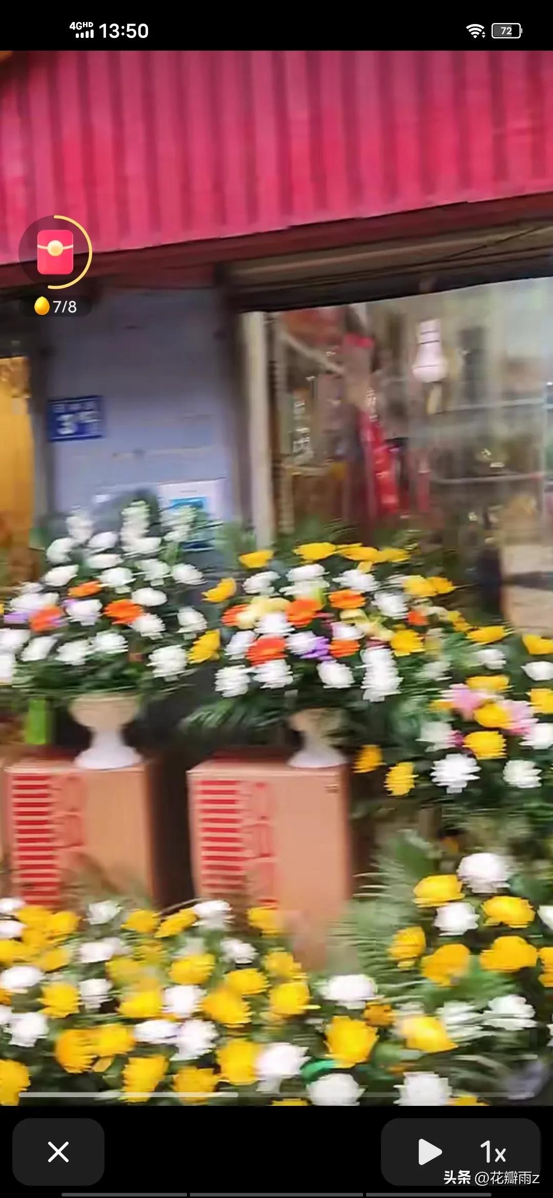 满城尽是菊花殇！大年三十武汉街头摆满菊花