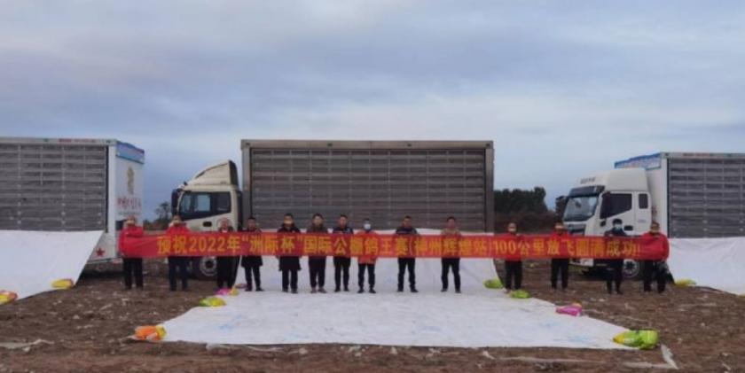 2022年神州辉煌公棚决赛归巢视频,神州辉煌赛鸽公棚500公里决赛成绩