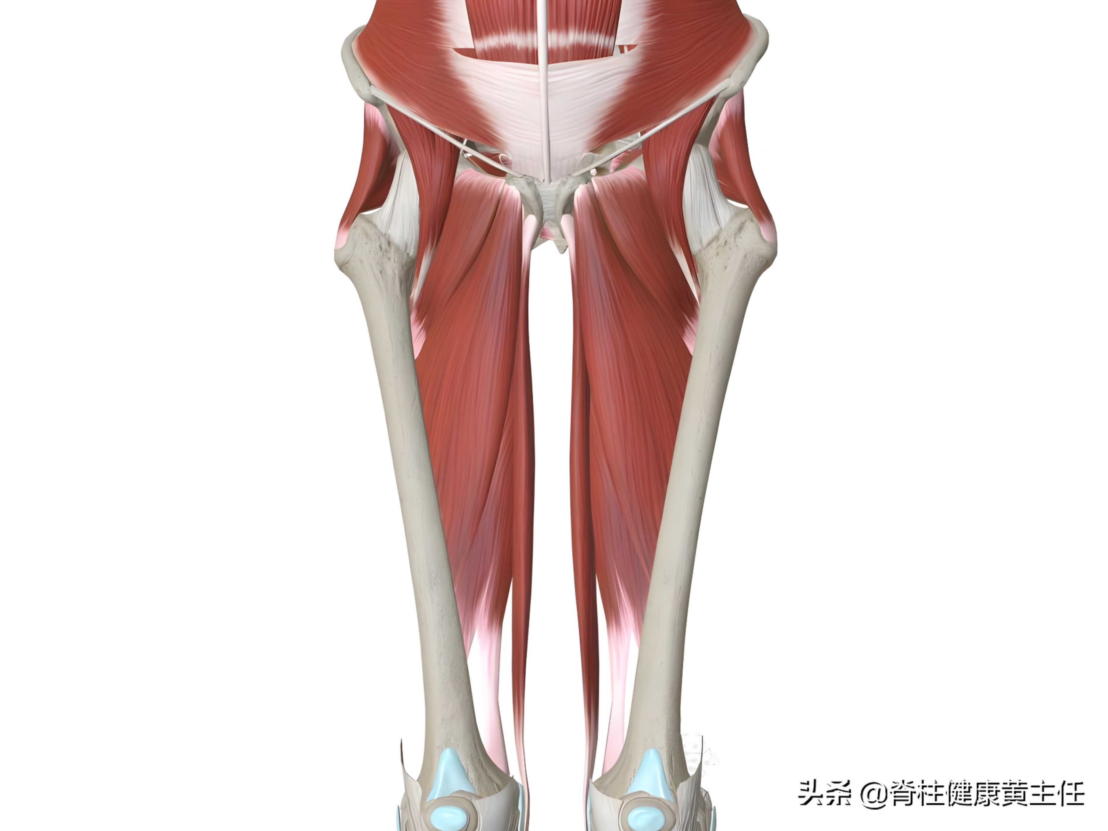 走路姿势异常是什么原因,走路姿势异常的表现