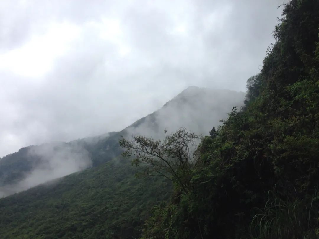 故城时光|休憩在狮子山下