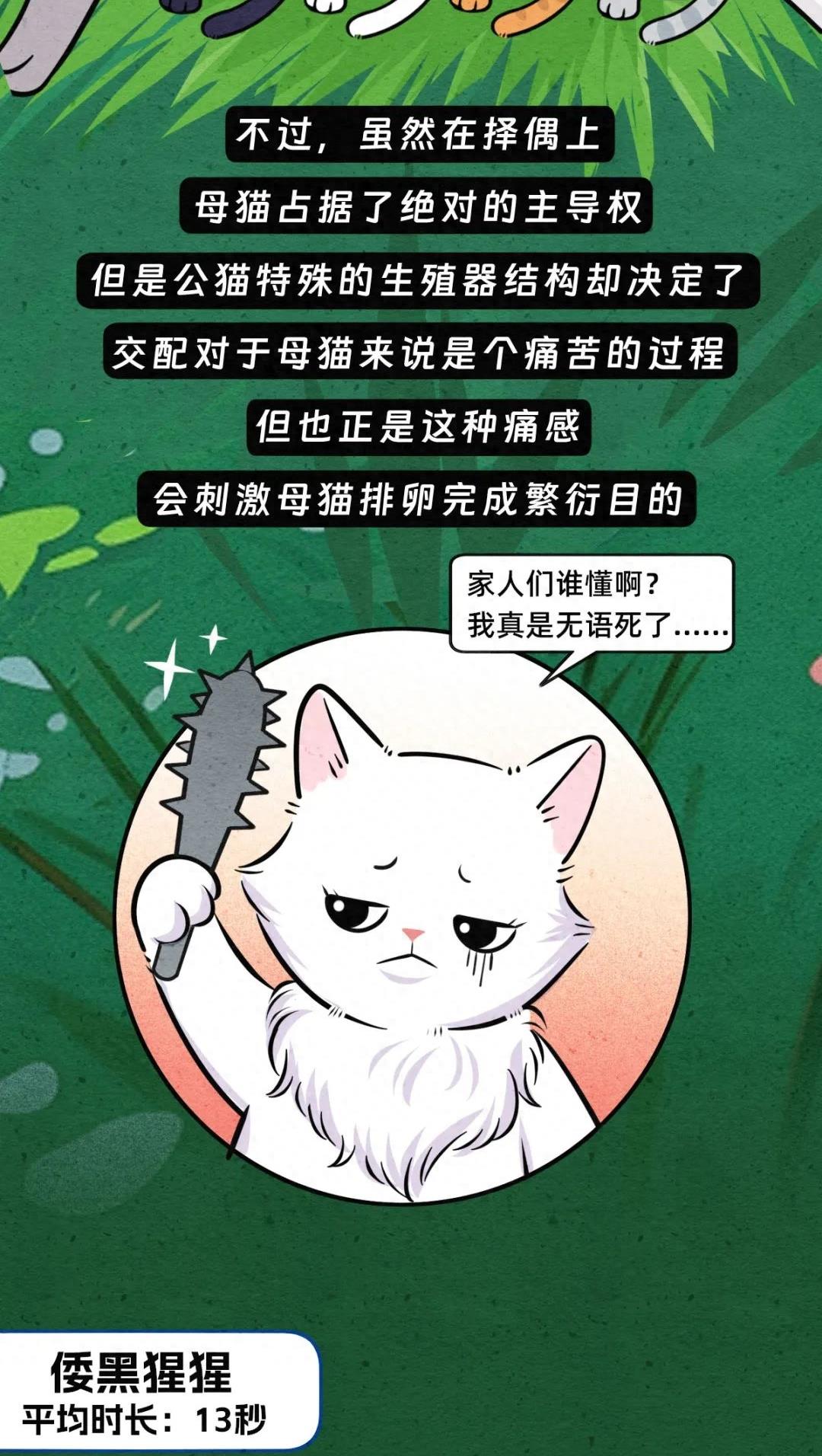 动物交配行为鉴赏，真的触碰到了我的知识盲区（漫画）