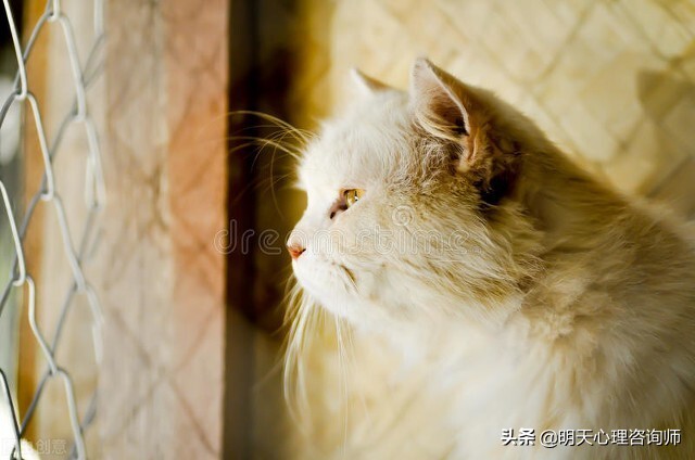 心理咨询的治疗原理