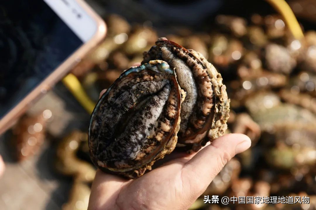 中国第一海鲜大省,中国第一海鲜怎么样