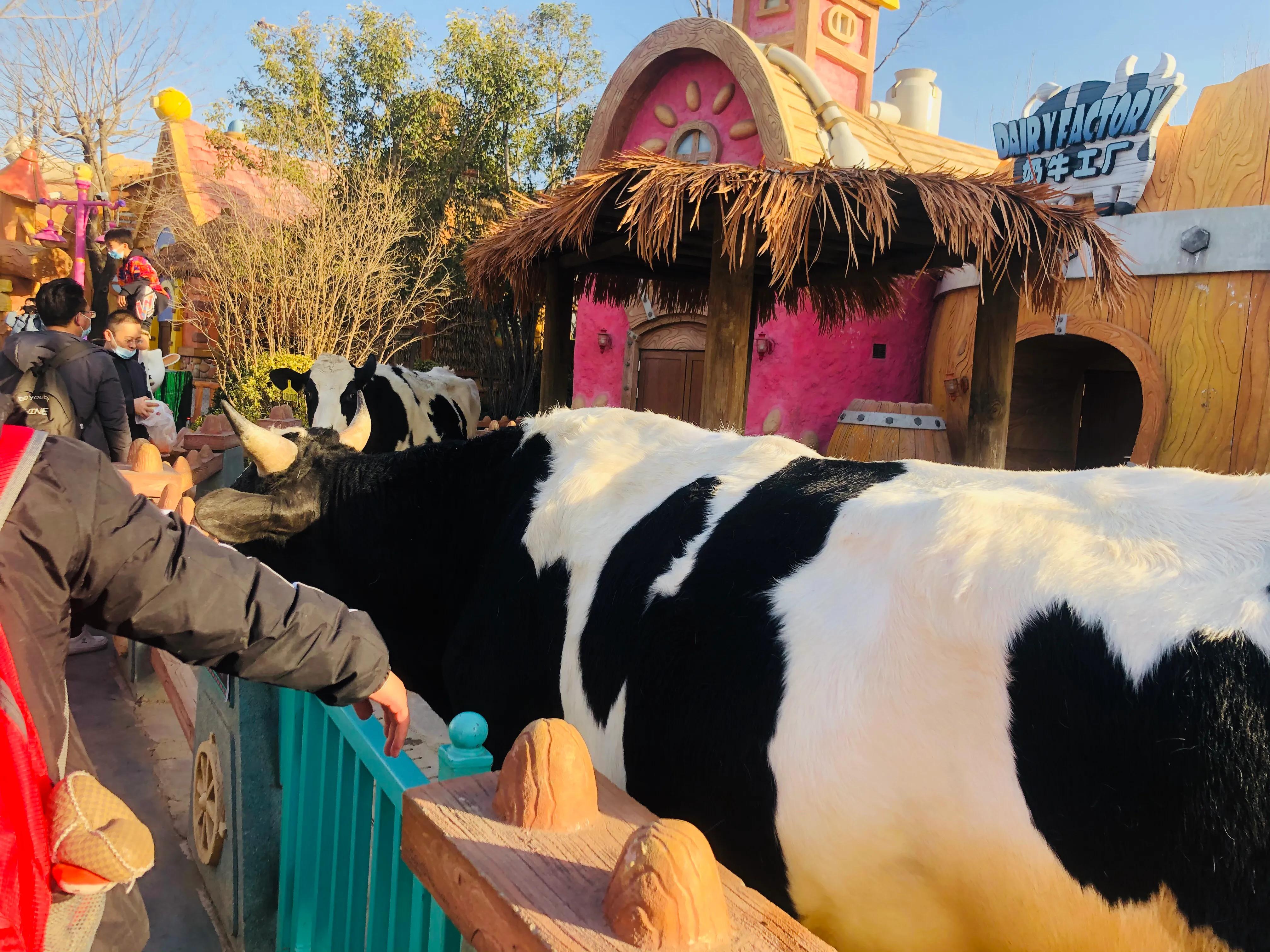 银基动物王国最强游玩攻略,银基动物王国游玩最详细攻略