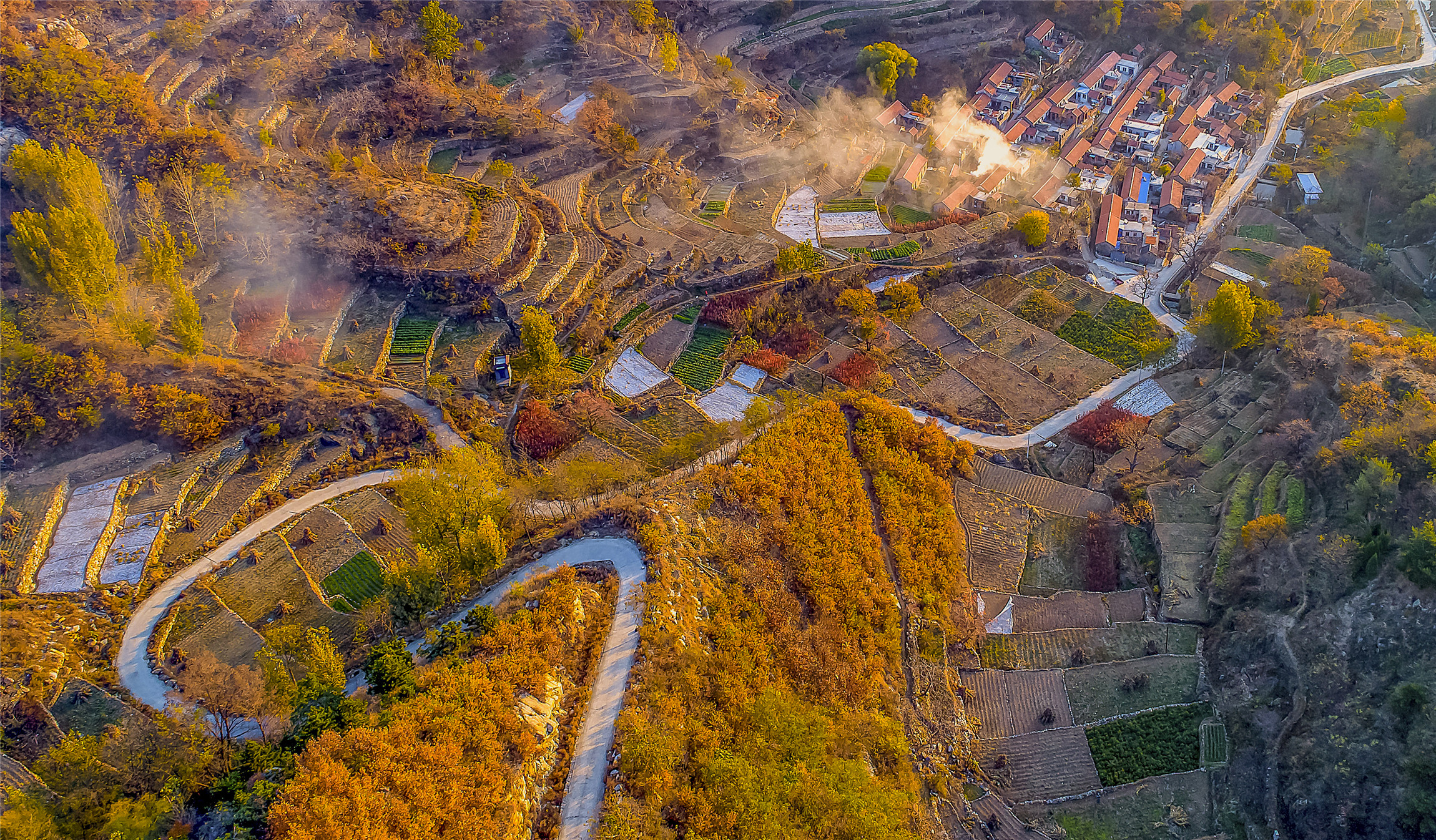 入秋济南好去处,济南秋季看花打卡地