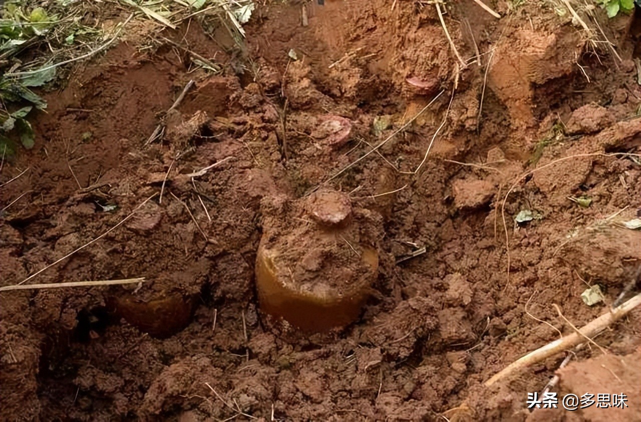 山西土豪过寿，将埋藏18年的郎酒挖出，行家验完讽刺道：不如不存