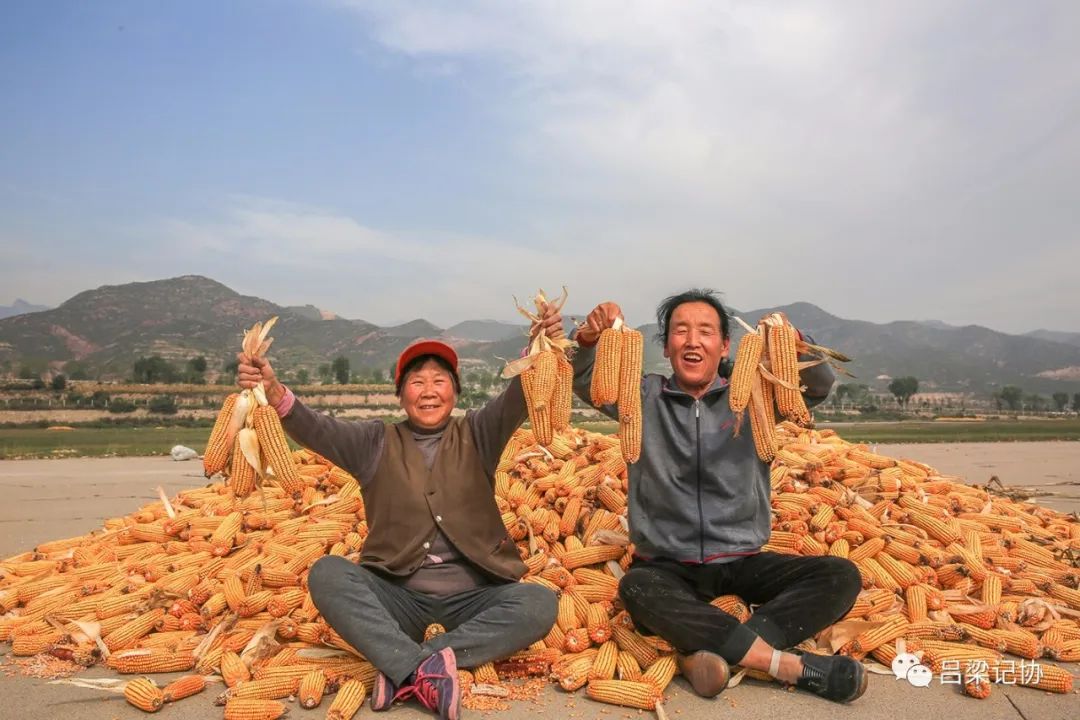 我的吕梁我的城微视频,我的吕梁我的城作品征集