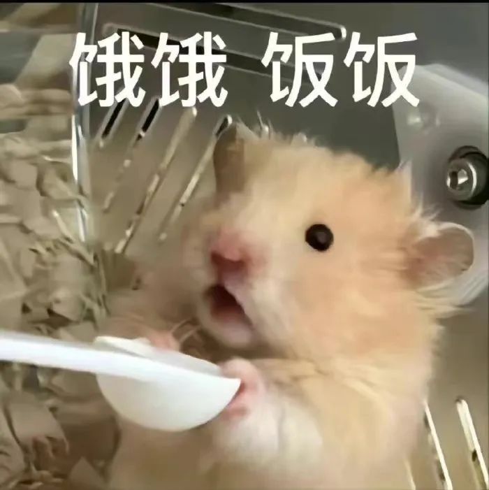 美国最受欢迎学校,最受国内认可的美国大学