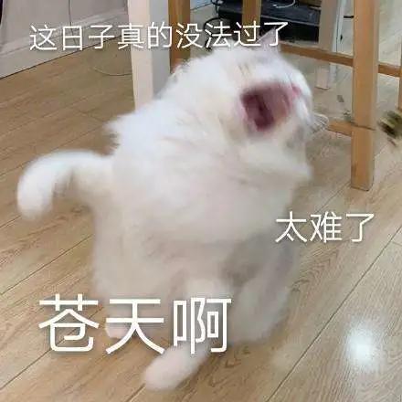 便便从阴道里出来？20多岁的她面临的问题不止如此……