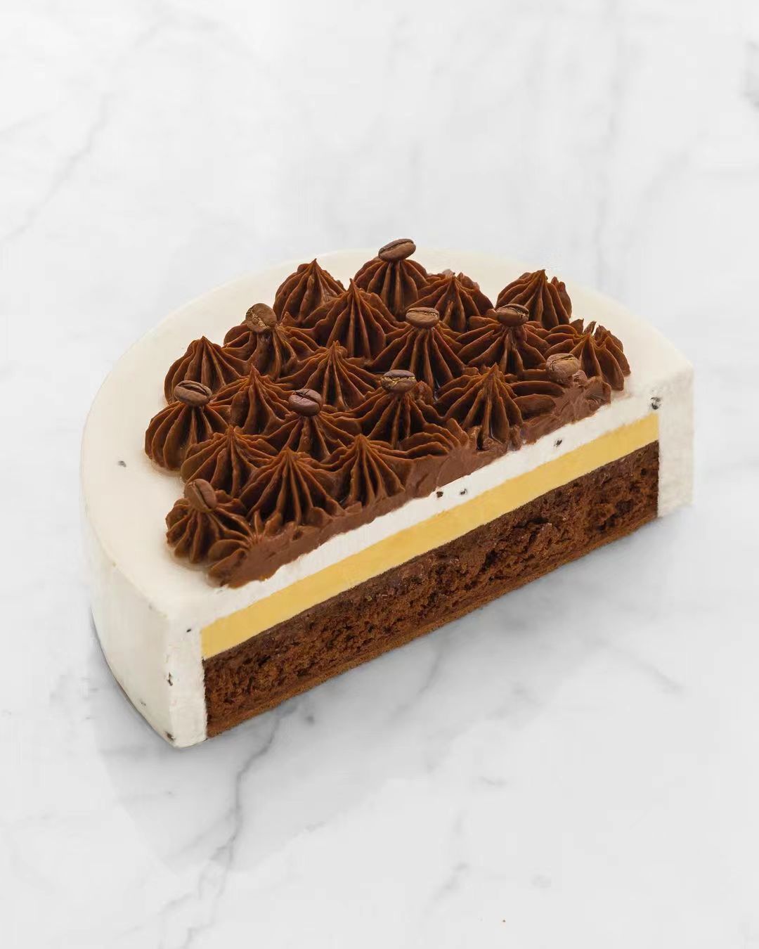 蛋糕切面,蛋糕两层夹心切面图片