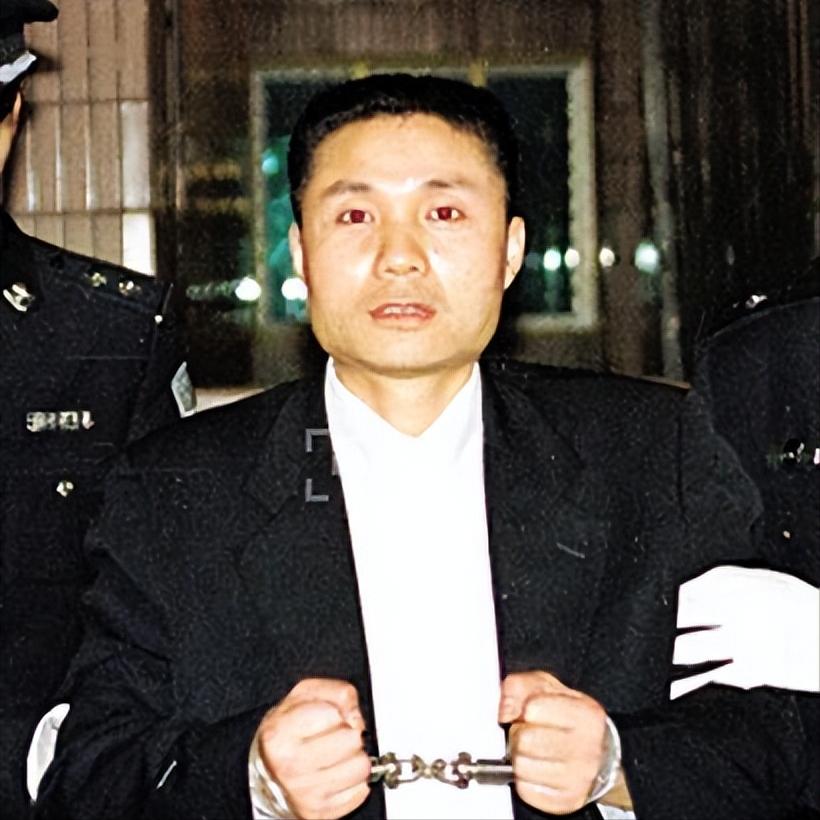 中国十大悍匪电影解说,中国十大悍匪电视剧全集