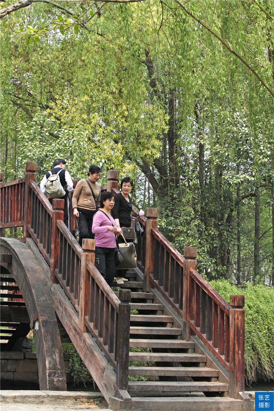 江南十大古镇之乌镇,江南水乡乌镇简介资料