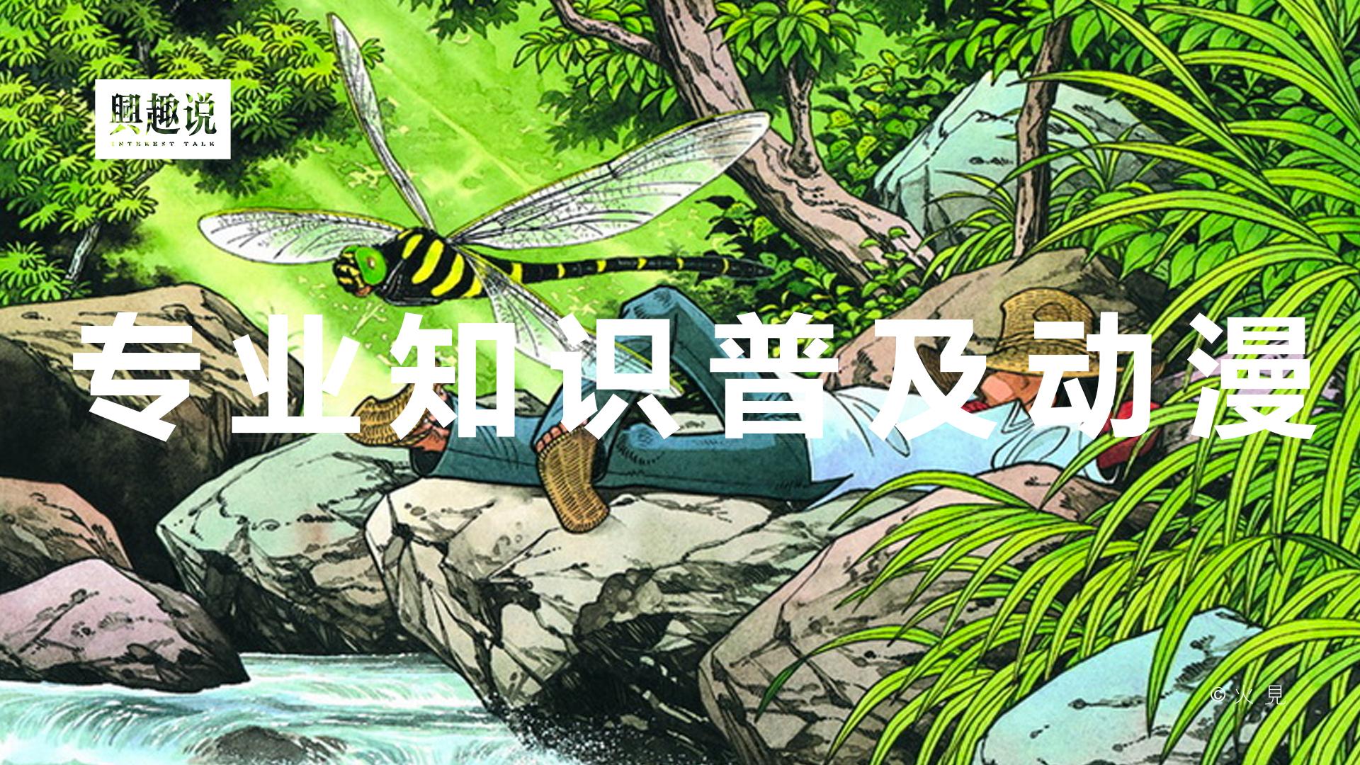 替孩子珍藏的知识,替孩子收藏的小知识