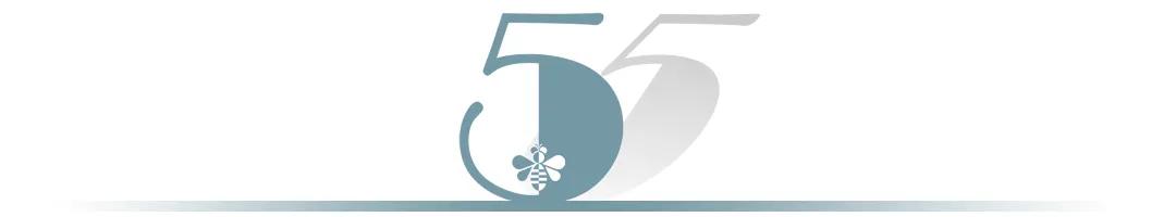 负债很多每天催债还不上怎么办,天天被催款了怎么办