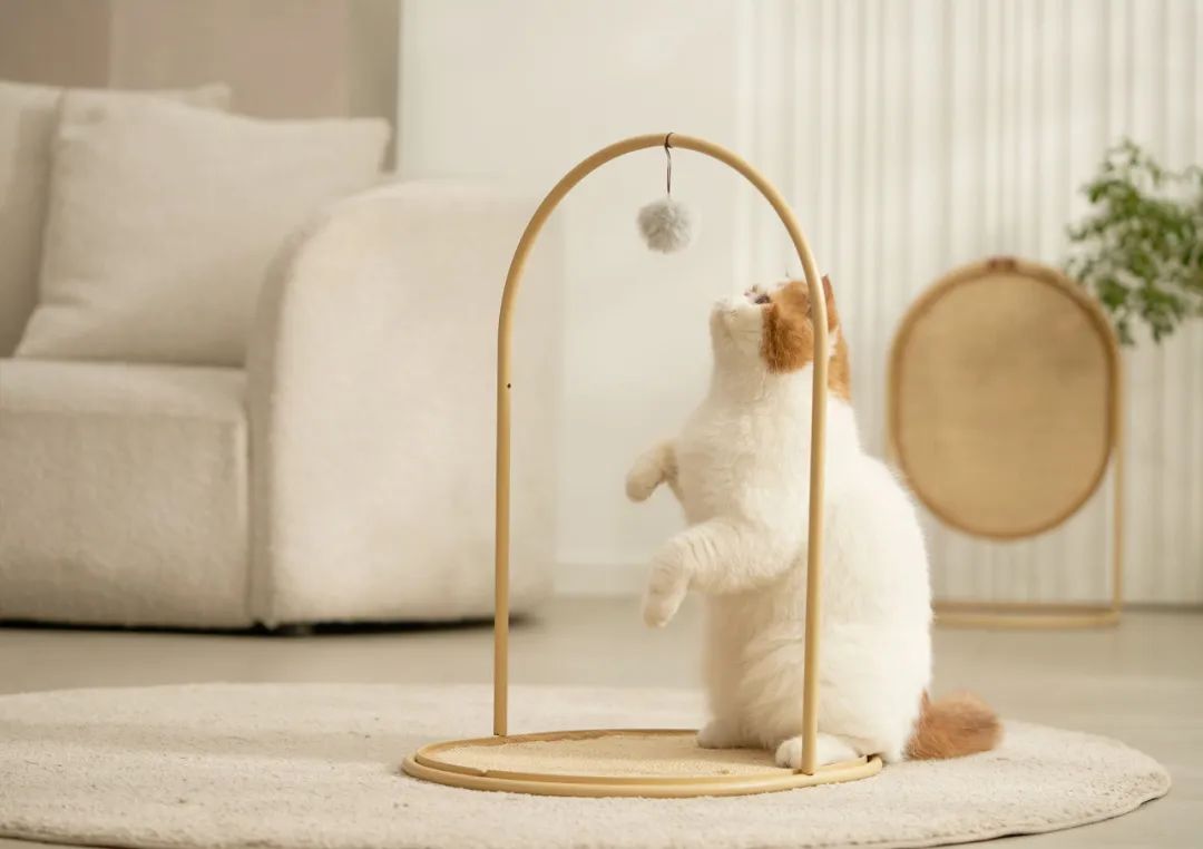 2022年iF设计奖：宠物用品类