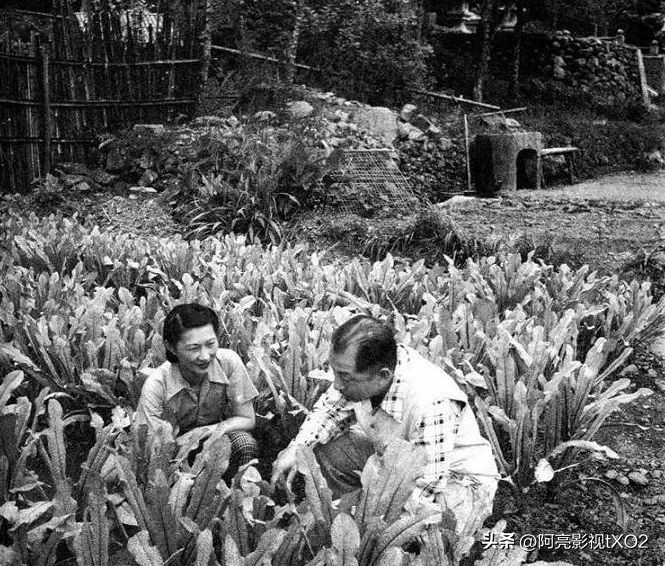 张学良被软禁54年完整版,张学良被软禁的真实生活