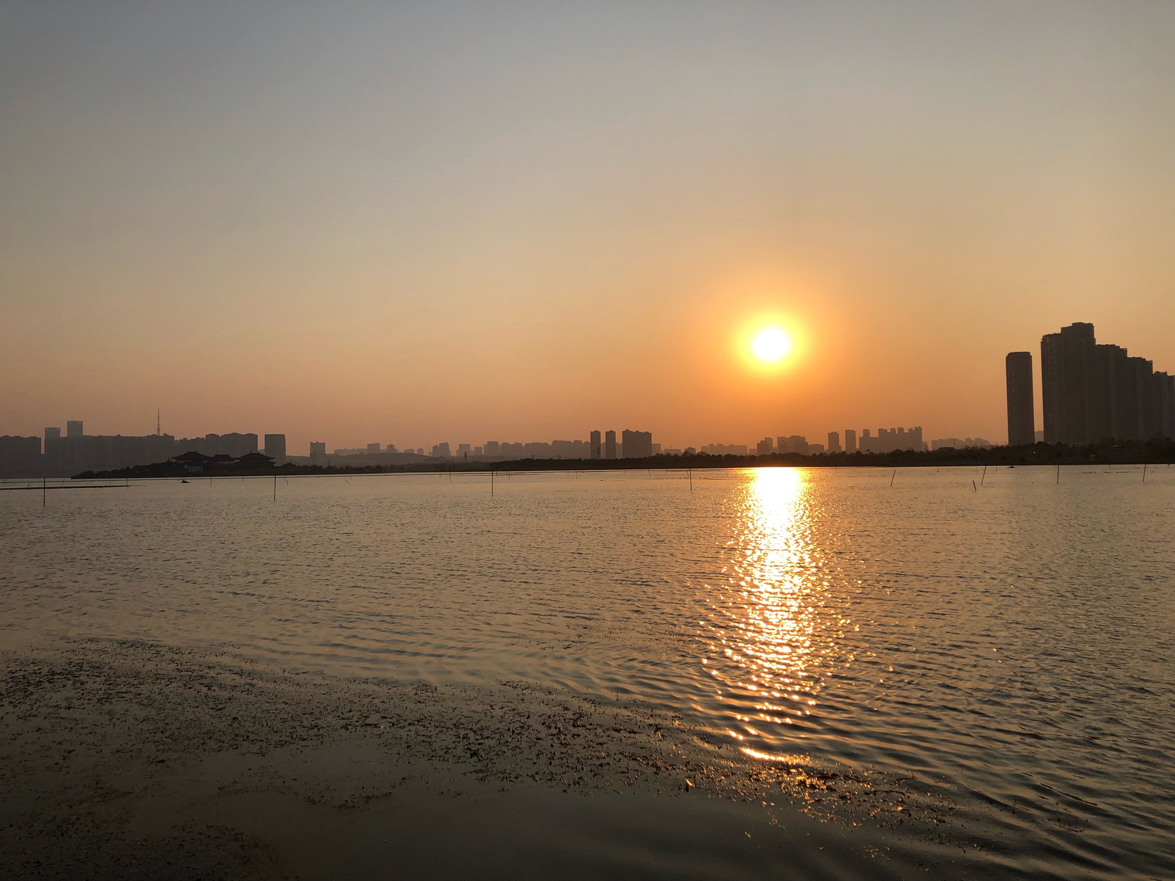 海滨松雅湖湿地公园,2020年长沙松雅湖湿地公园