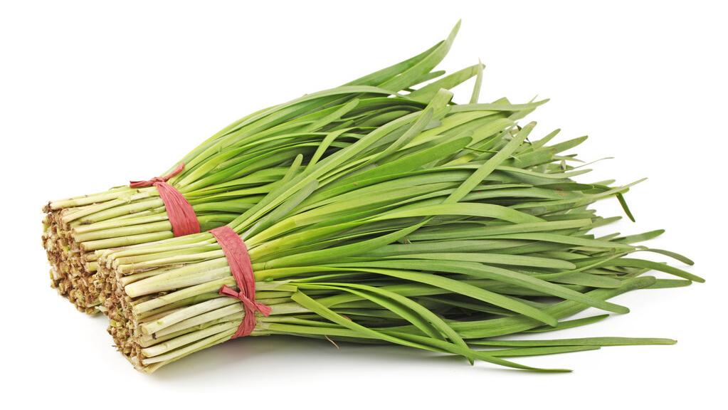 痔疮便血和肛裂便血的区别,女性痔疮肛裂便血左下腹疼