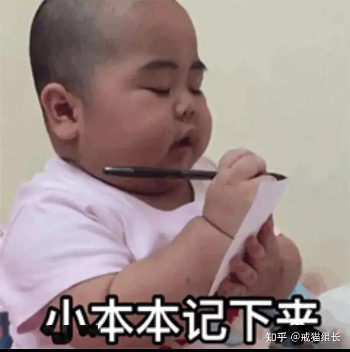 口碑最好的十大猫主食罐,最好的主食猫罐测评