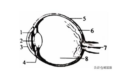 2021年山东省聊城市中考生物真题