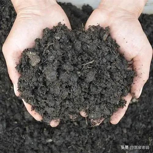 饼肥和什么混合,饼肥和土壤混合