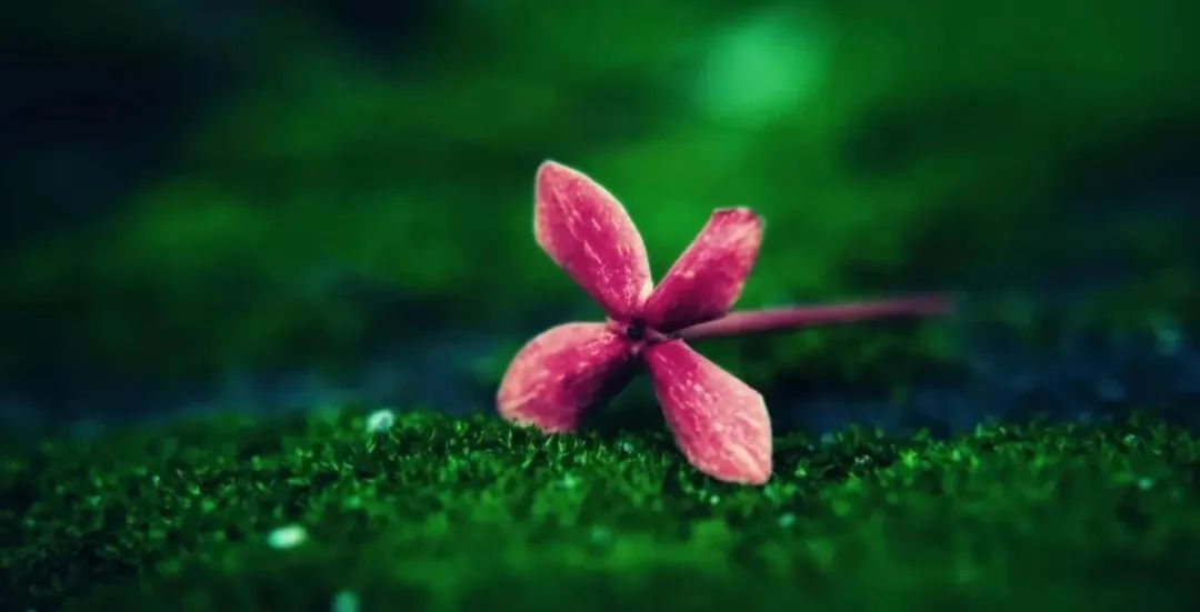 智慧教育背景下的高效课堂创建,智慧课堂数字化教学管理介绍