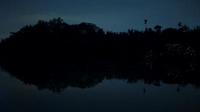 原来它们也有“性丑闻”,这片看完让我大开眼界