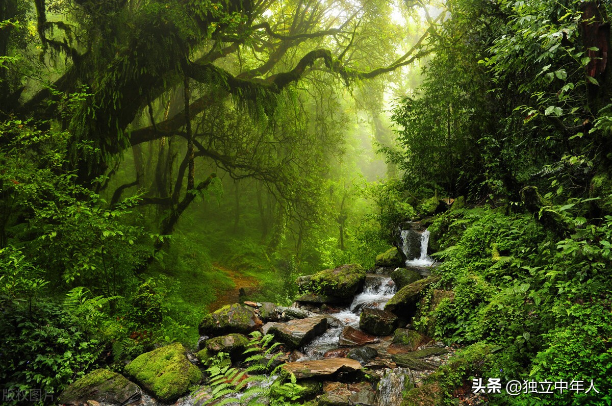 股市谈股论金,股市漫谈