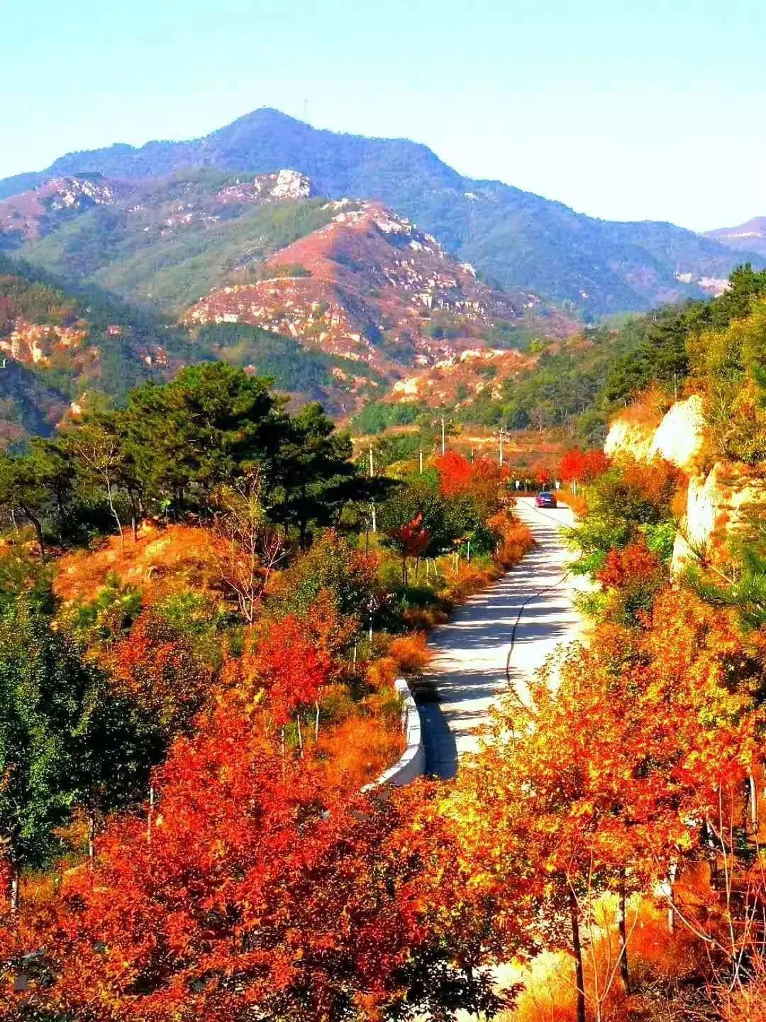 俺莱芜有美景|四季予你诗画香山