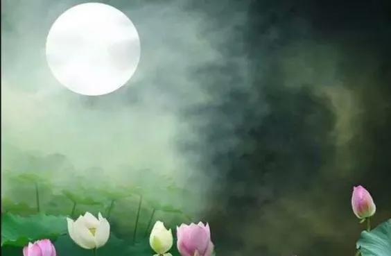 散文宽容配乐,散文宽容