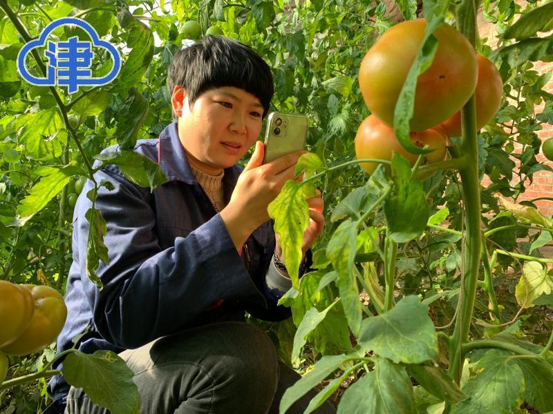 千与千寻,千问千寻大运河武清段