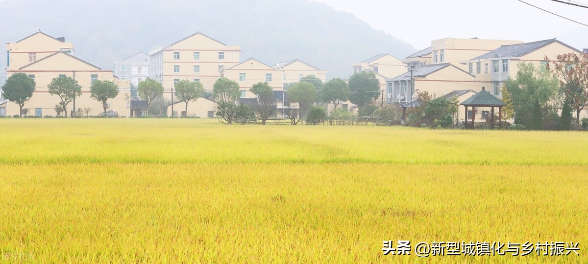 美丽乡村全集免费看,美丽乡村绘画