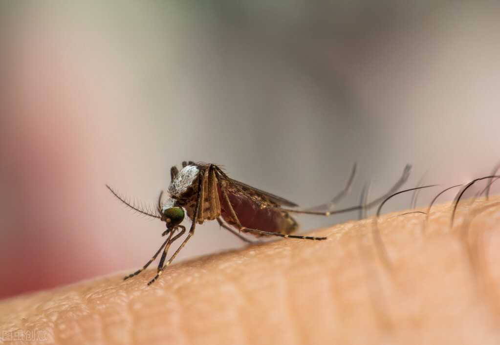刚刚发现被传染乙肝病毒怎么办,乙肝传染途径有哪些你知道吗
